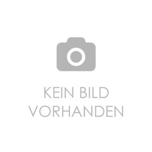 Silber (vergoldet)