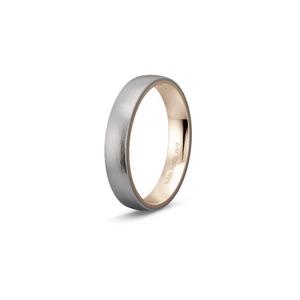 Ring 1