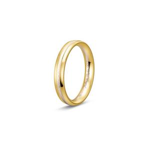 Ring 1