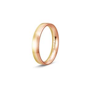 Ring 1