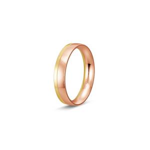 Ring 1