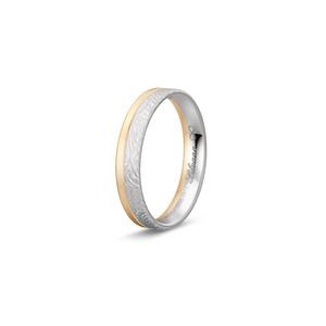 Ring 1