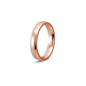 Ring 1
