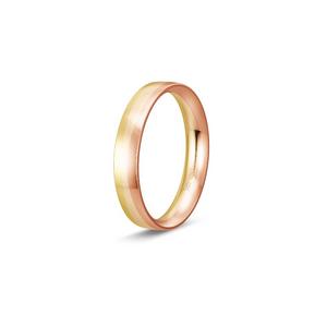 Ring 1