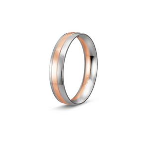 Ring 1