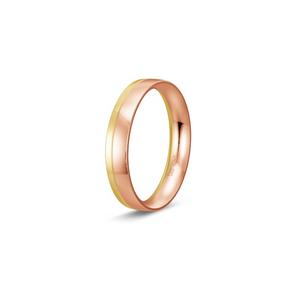 Ring 1