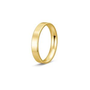 Ring 1