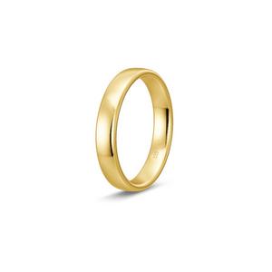 Ring 1