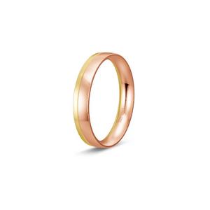 Ring 1