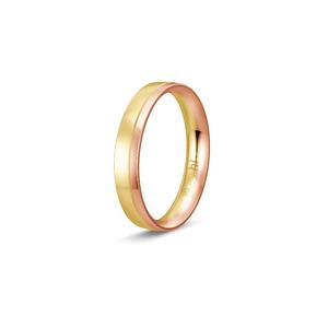 Ring 1