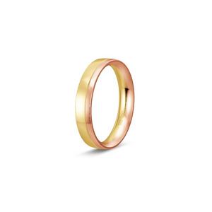 Ring 1