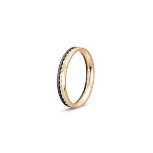 Ring 2