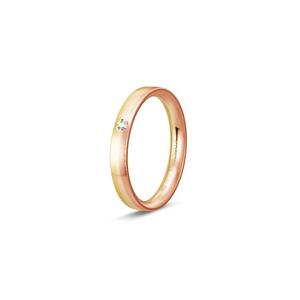 Ring 2
