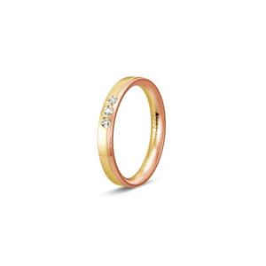 Ring 2