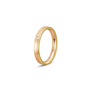 Ring 2