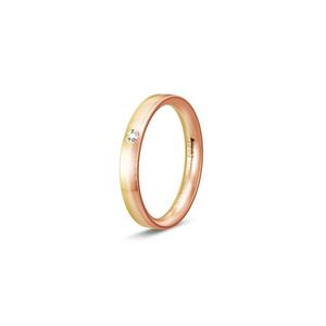 Ring 2