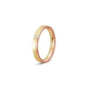 Ring 2