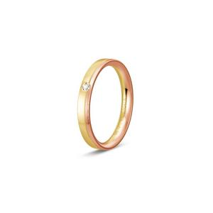 Ring 2