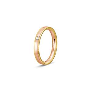 Ring 2